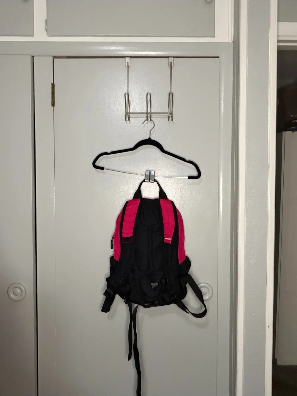Burton Pink and Black Compact Backpack Organizer